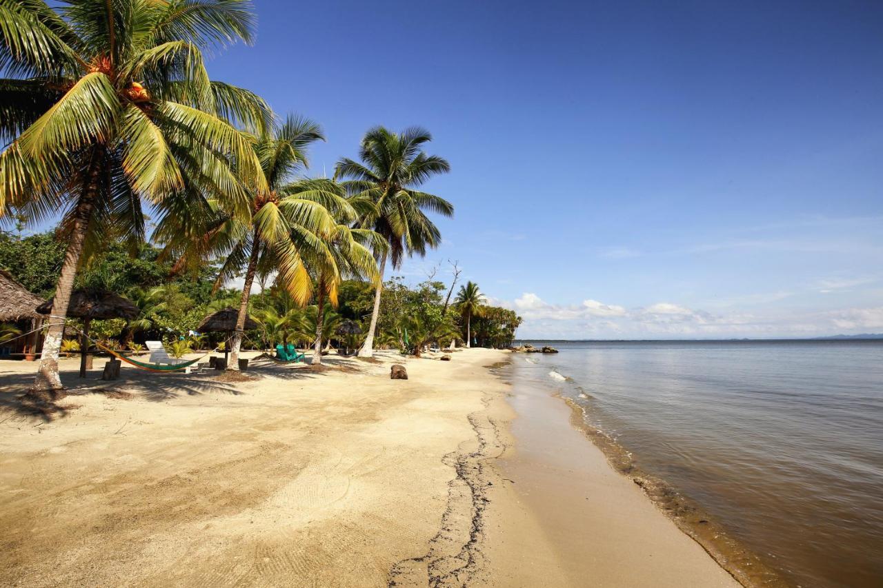 Villa Caribe Lívingston エクステリア 写真